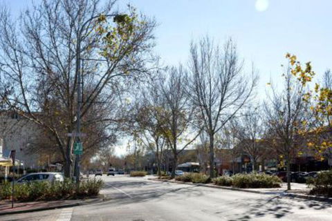 Carrington Charm CBD WiFi Parking - Grafton Accommodation 3