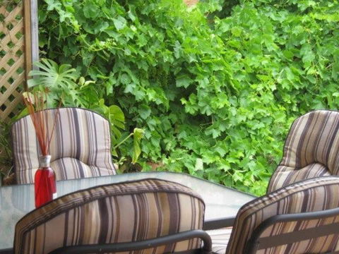 Amalie Cottage Waikerie Unit 1 - Grafton Accommodation 6