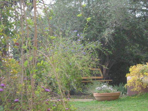 Amalie Cottage Waikerie Unit 1 - Grafton Accommodation 5