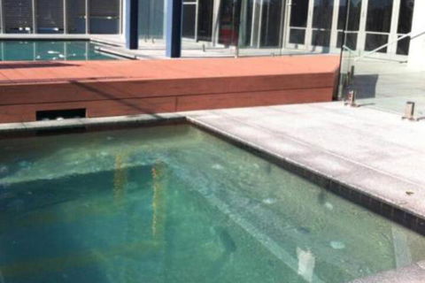 Azul Del Mar - Grafton Accommodation 5