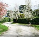 Robin Hill Manor rambling retreat  tennis court - Grafton Accommodation