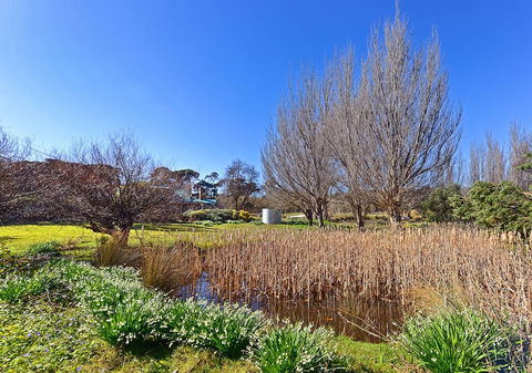 Ventnor Guest House - Grafton Accommodation 6