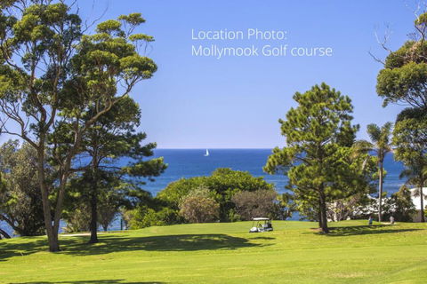 Mollymooks Tee To Sea 19 Buchan Street - Grafton Accommodation 2