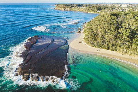 Mollymooks Tee To Sea 19 Buchan Street - Grafton Accommodation 1