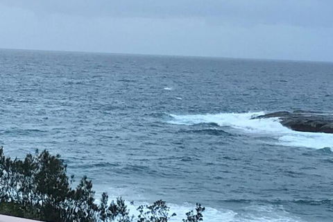Absolute Oceanfront Cottage - Grafton Accommodation 6