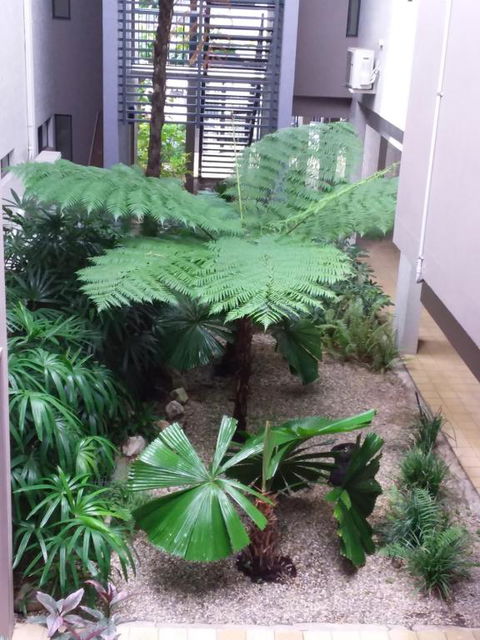 Jackies Studio Apartment - Grafton Accommodation 5