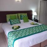 Jackies Studio Apartment - Grafton Accommodation 0