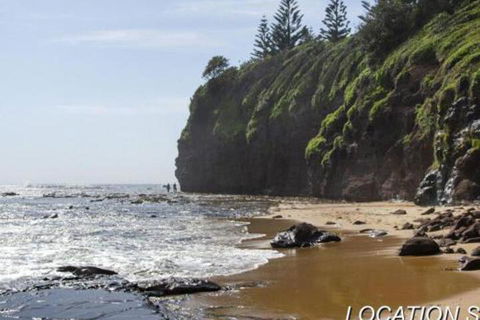 Ocean Mist Cottage Across From Pet Friendly Beach - Grafton Accommodation 2
