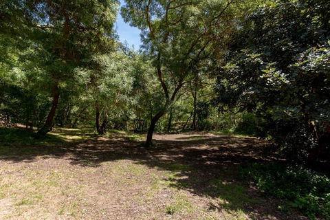 Belair National Park Holiday Park - Grafton Accommodation 2