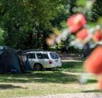 Belair National Park Holiday Park - Grafton Accommodation