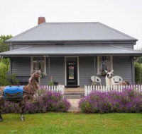 Domino House - Grafton Accommodation