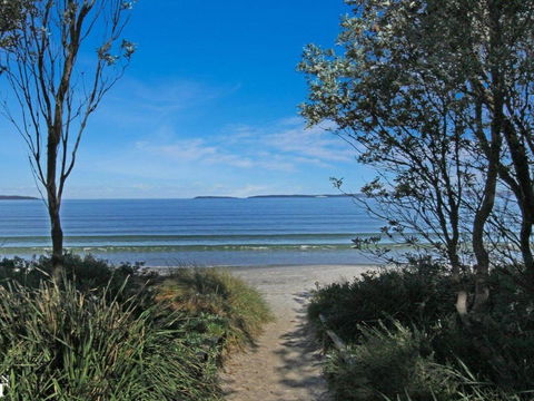 Callala Sun Modern & Functional - Grafton Accommodation 3