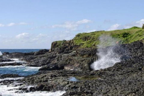 Seaview On Boanyo Ocean Views & Close To Beach - Grafton Accommodation 5