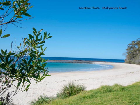 Tallwood Ave 77 Mollymook - Grafton Accommodation 3