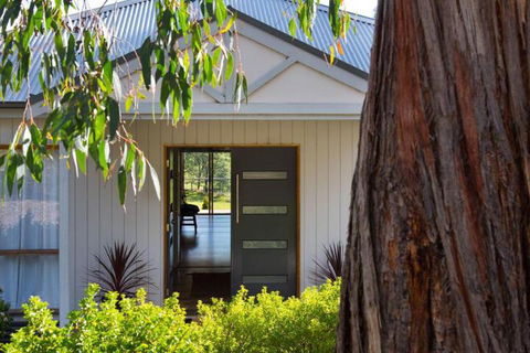Phoenix - Grafton Accommodation 4