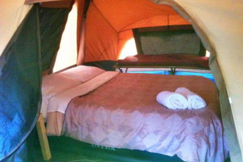 WA Wilderness Glamping - Grafton Accommodation 3