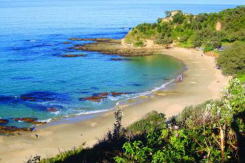Pacific Studio Nambucca Heads - Grafton Accommodation 5