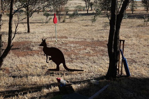 Kookaburra Cottage - Grafton Accommodation 7