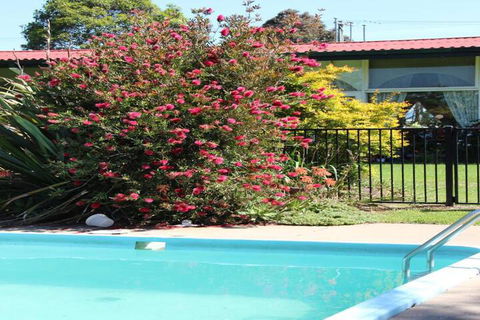 The Wurruk Motel - Grafton Accommodation 4