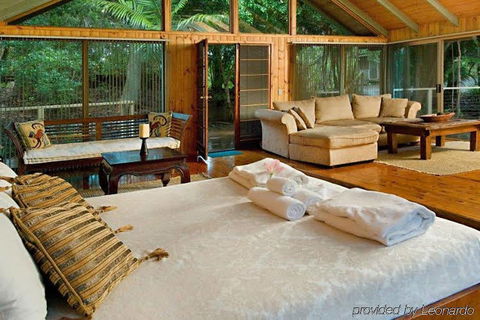Tree Houses Of Montville - Grafton Accommodation 2