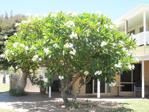 Kalbarri Riverfront Unit - Grafton Accommodation 3