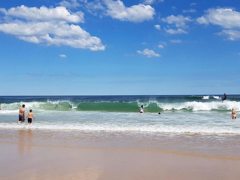 Arena Luxury Beachfront Apartment - Grafton Accommodation 6