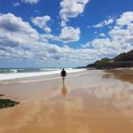 Arena Luxury Beachfront Apartment - Grafton Accommodation 0