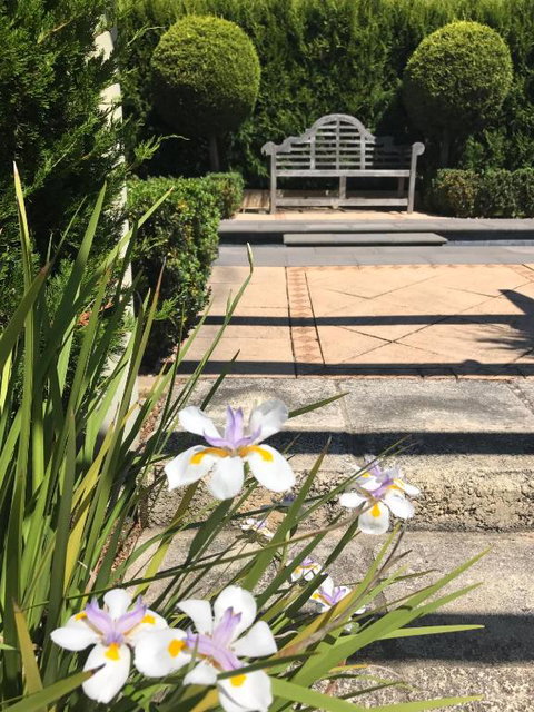 Studio 22 - Grafton Accommodation 3