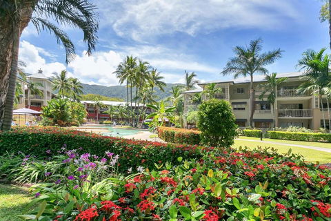 Amphora Laleuca Apartment - Grafton Accommodation 3