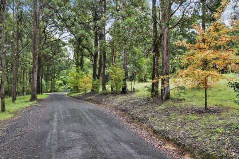 NUNGAROO COTTAGE - Grafton Accommodation 6