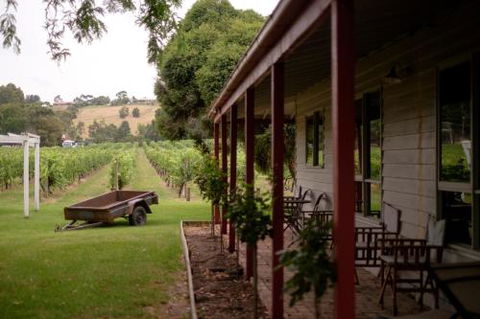 Fergusson Winery Homestead Accomodation - Grafton Accommodation 2