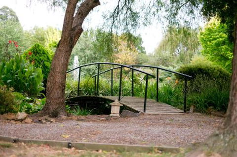 Fergusson Winery Homestead Accomodation - Grafton Accommodation 1