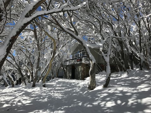 Amber Lodge Mt Buller - Hostel - Grafton Accommodation 2