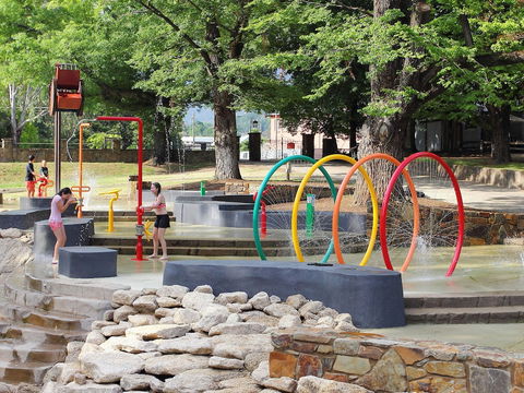NRMA Bright Holiday Park - Grafton Accommodation 4