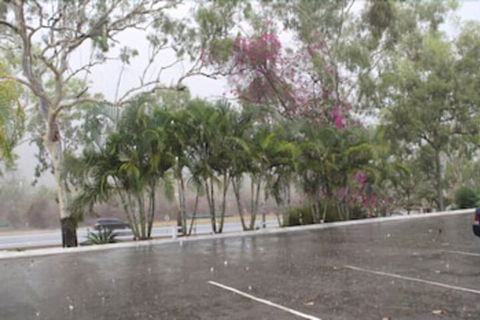 Sunbird Motel - Grafton Accommodation 2