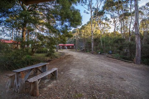 Rosedale Cottages - Grafton Accommodation 4