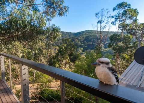 Gulah - Grafton Accommodation 4