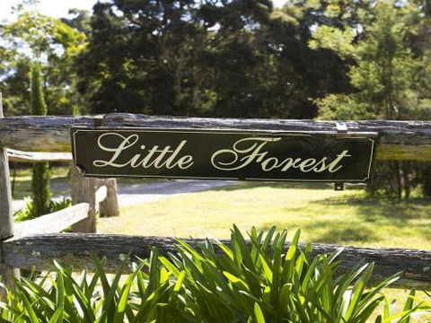 THE ANGAS CARRIAGE Alpine Southern Highlands 4pm Check Out On Sundays - Grafton Accommodation 5