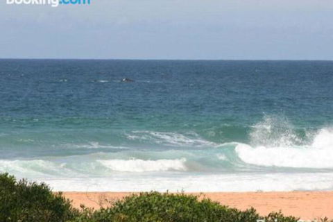 Beachfront Delight 14b Bareena Avenue - Grafton Accommodation 1