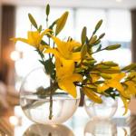 KUI Manhattan Apartments - Grafton Accommodation 0