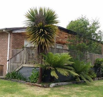 Strahan Holidays - Grafton Accommodation 4