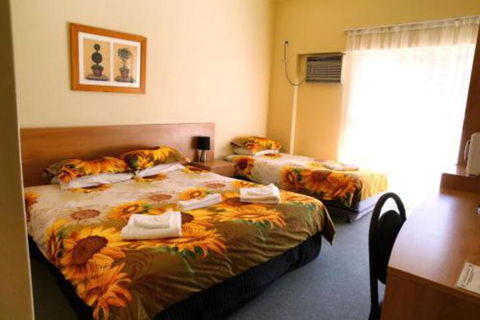 Blue Mountain Motel - Grafton Accommodation 0