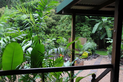 Wildwood - Grafton Accommodation 3