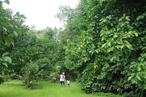 Wildwood - Grafton Accommodation 1