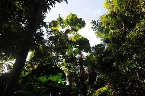 Wildwood - Grafton Accommodation 5