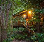 Wildwood - Grafton Accommodation
