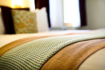 Peppers Rundells Alpine Lodge - Grafton Accommodation 1