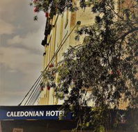 Caledonian Hotel - Grafton Accommodation