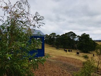 In2thewild Walden - Grafton Accommodation 4