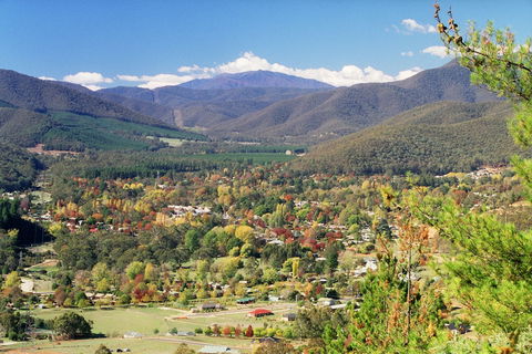 Discovery Parks - Bright - Grafton Accommodation 0
